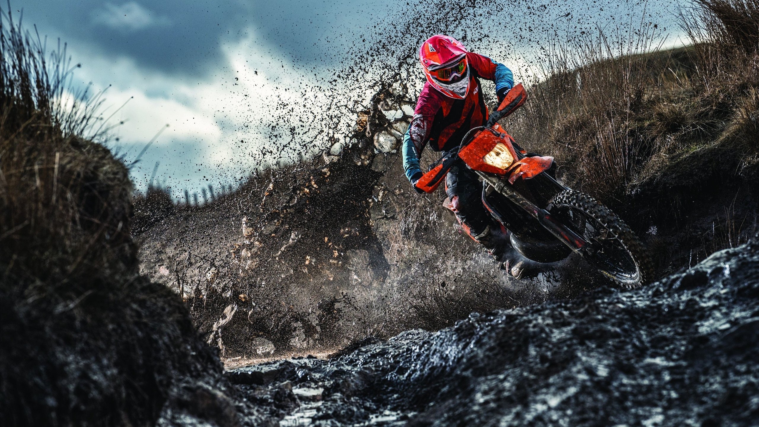 开云中国大陆-跳水动作难度系数整体提升，跳水难度动作术语